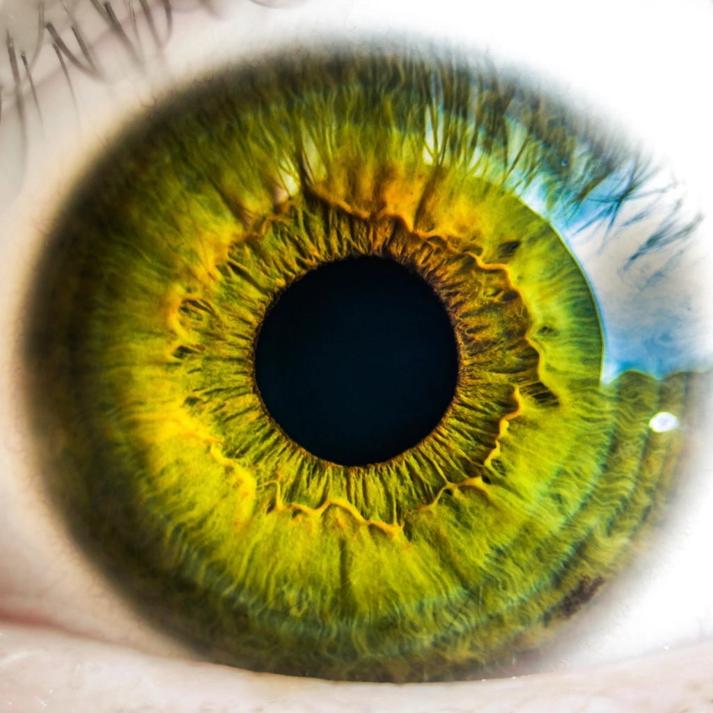 Macro photograph of a human iris